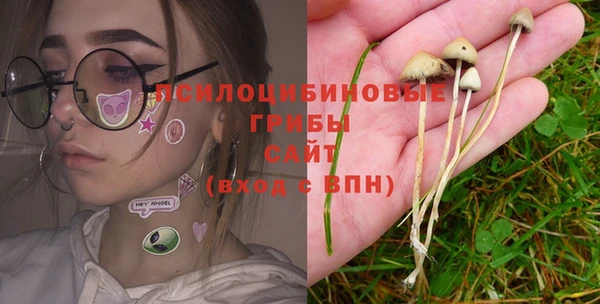 ECSTASY Абаза