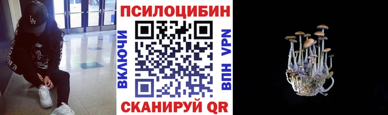 дарнет шоп  Кандалакша  Псилоцибиновые грибы Magic Shrooms 
